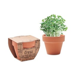 CRESS POT Pot avec graines de cresson