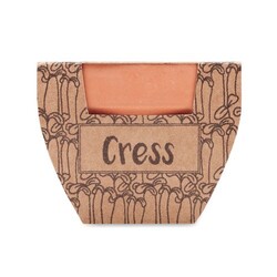CRESS POT Pot avec graines de cresson