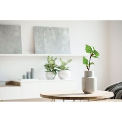 SAVAGE Carnet A5 GROWBOOK™