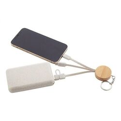 porte-clés chargeur USB Mugory