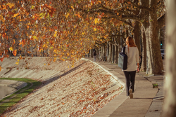 Bobby Bizz 2.0 sac à dos et sacoche antivol