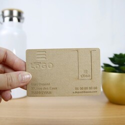 Carte de visite - France