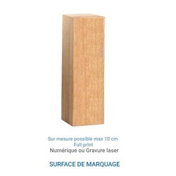 Trophée Bois BLOC 20cm - France