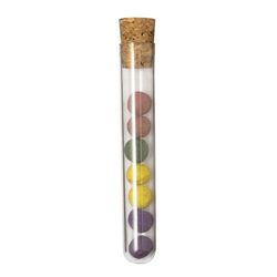 Set Bombon Graines Dinaclex