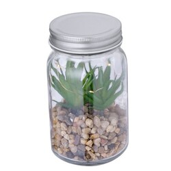 Plante Décorative Kyala