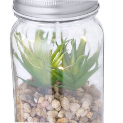 Plante Décorative Kyala