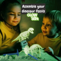 2 in 1 Fossil Excavation Kit I. Jeu éducatif pour enfants