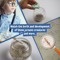 Jurassic Pets Kit I. Jeu éducatif pour enfants