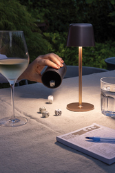 Lampe de table rechargeable par USB en plastique RCS Zenic