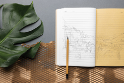 Carnet A5 sans arbre Elowen