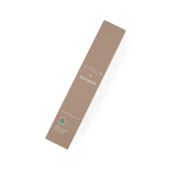 VINGA Stylo en acier inoxydable RCS Baltimore