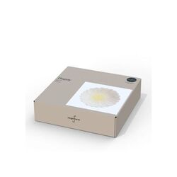 Sagaform Petit bol de Dagny