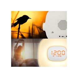 ML-198 | Muse wake up light Radio FM