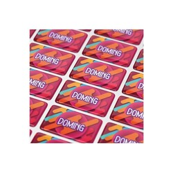 Doming Rectangle 80x25 mm