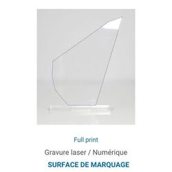 Trophée en plexiglas PICS - France 3 mm