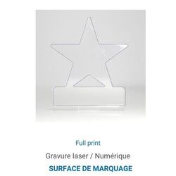Trophée en plexiglas ETOILE - France