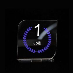 Trophée en plexiglas CARRE 2 - France 3 mm