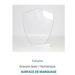 Trophée en plexiglas BLASON - France