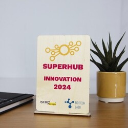 Trophée en bois RECTANGLE - France 3 mm