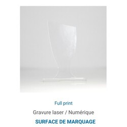 Trophée en plexiglas COUPE - France 5 mm