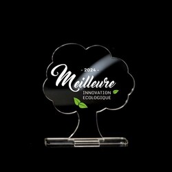 Trophée en plexiglas ARBRE - France 3 mm