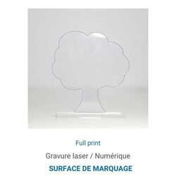 Trophée en plexiglas ARBRE - France