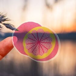 Sticker transparent - France