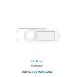 Clé USB Twister Noir 1 GO