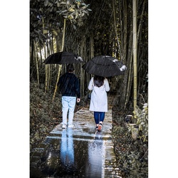 GAVIN. Parapluie 27.5