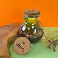 Terrarium lumineux