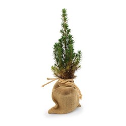 Sapin pochon jute Ø10 cm