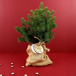 Sapin pochon jute Ø10 cm
