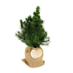 Sapin pochon jute Ø10 cm