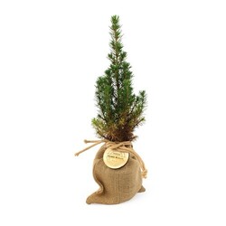 Sapin pochon jute Ø10 cm