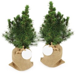 Sapin pochon jute Ø10 cm