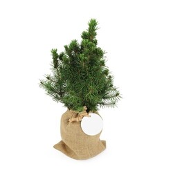 Sapin pochon jute Ø10 cm