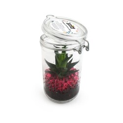 Plante grand bocal