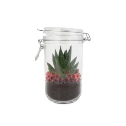 Plante grand bocal