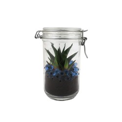Plante grand bocal