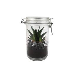 Plante grand bocal