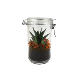 Plante grand bocal