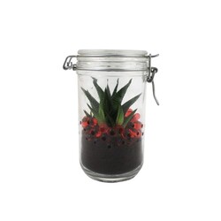 Plante grand bocal