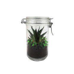 Plante grand bocal