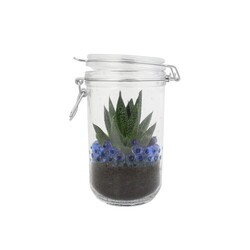 Plante grand bocal