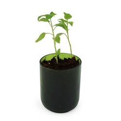 Kit bouteille recyclée