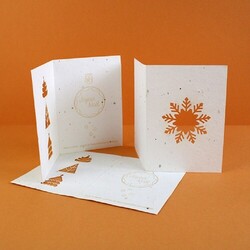 Carte papier graines laser