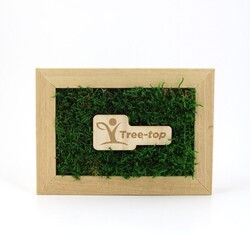 Trophée mousse rectangulaire