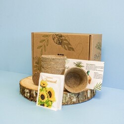 Box jardinage collection