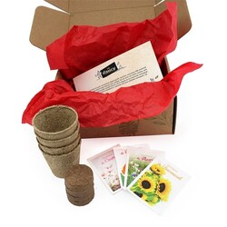 Box jardinage collection