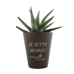 Plante Gob'lin